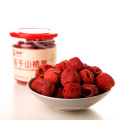 Freeze Dried Hawthorn Berry Chips for sale